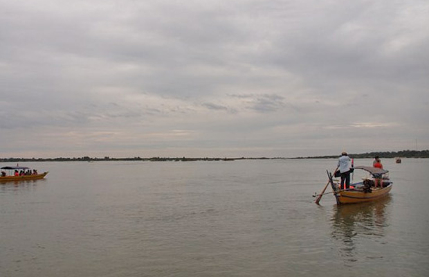 Irrawaddy Dolphins 3